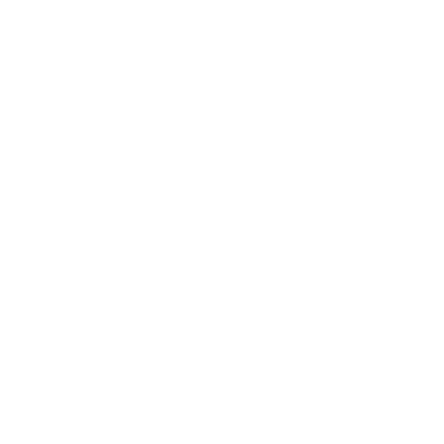 Nano Atelier